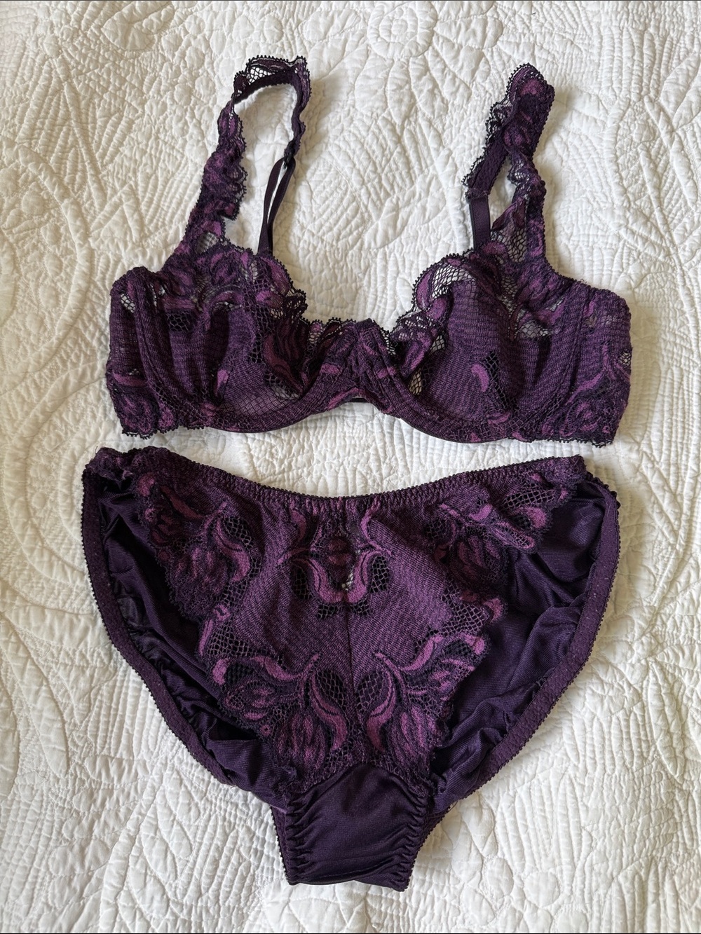 Parisa  Lace Underwire Bra & Bikini Set in Plum new without tags